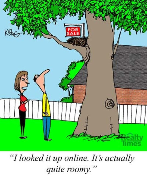 Condo shortages Judy Durant