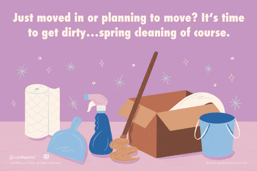 Christy Reuter Ormond Beach Fl 20230315 Spring Cleaning