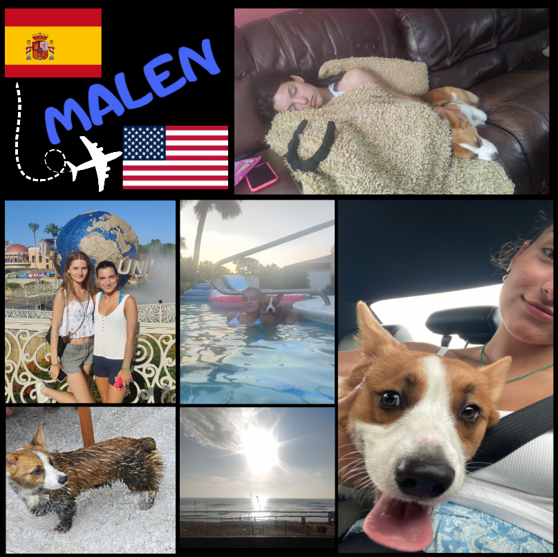 Christy Reuter Realtor Ormond Beach Fl 202509024 Malen Collage