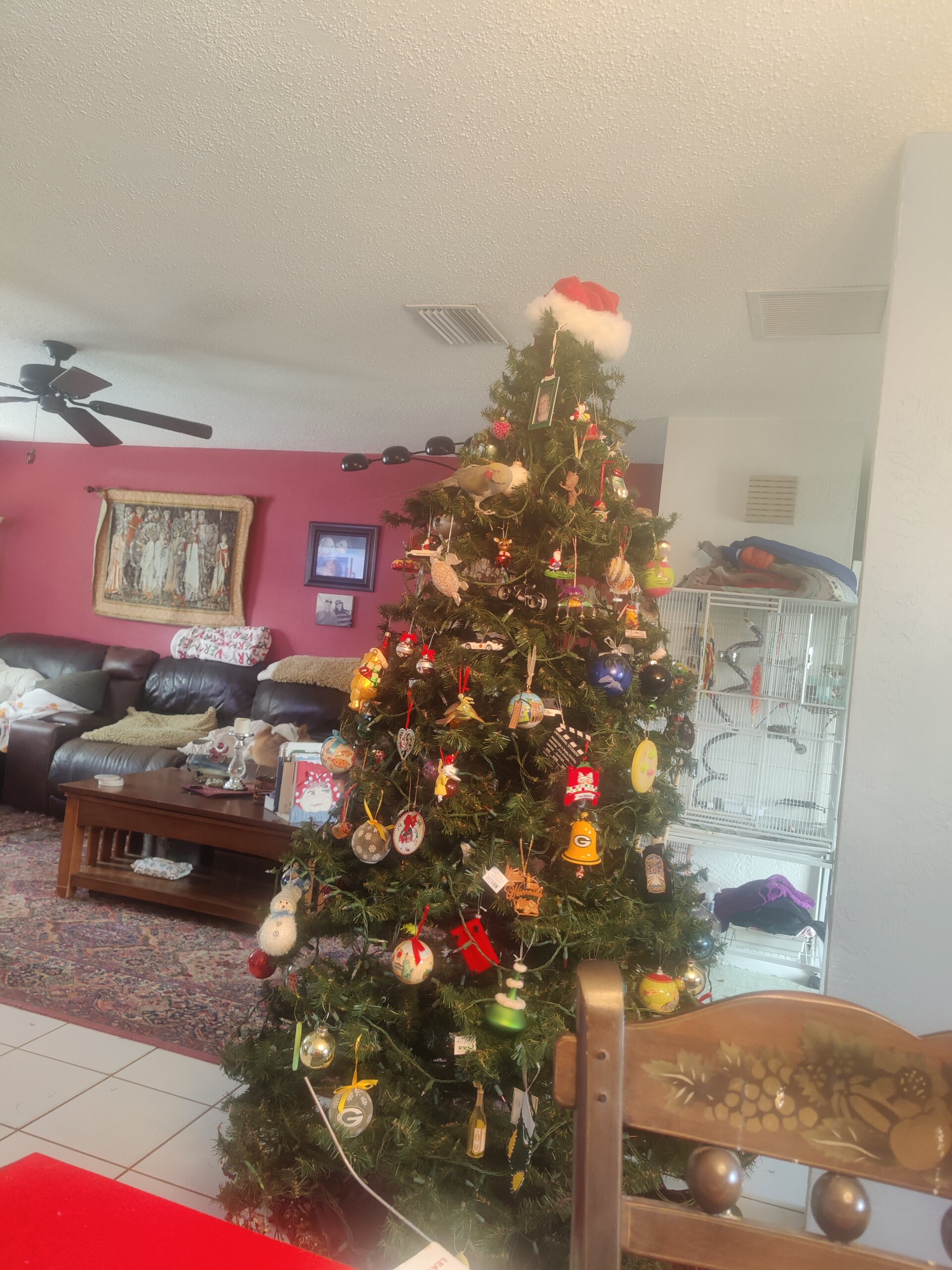 Christy Reuter Realtor Ormond Beach Fl 20251215 Everett Christmas Tree