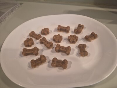 Christy Reuter Realtor Ormond Beach Fl 20260207 Dog Biscuit Pics