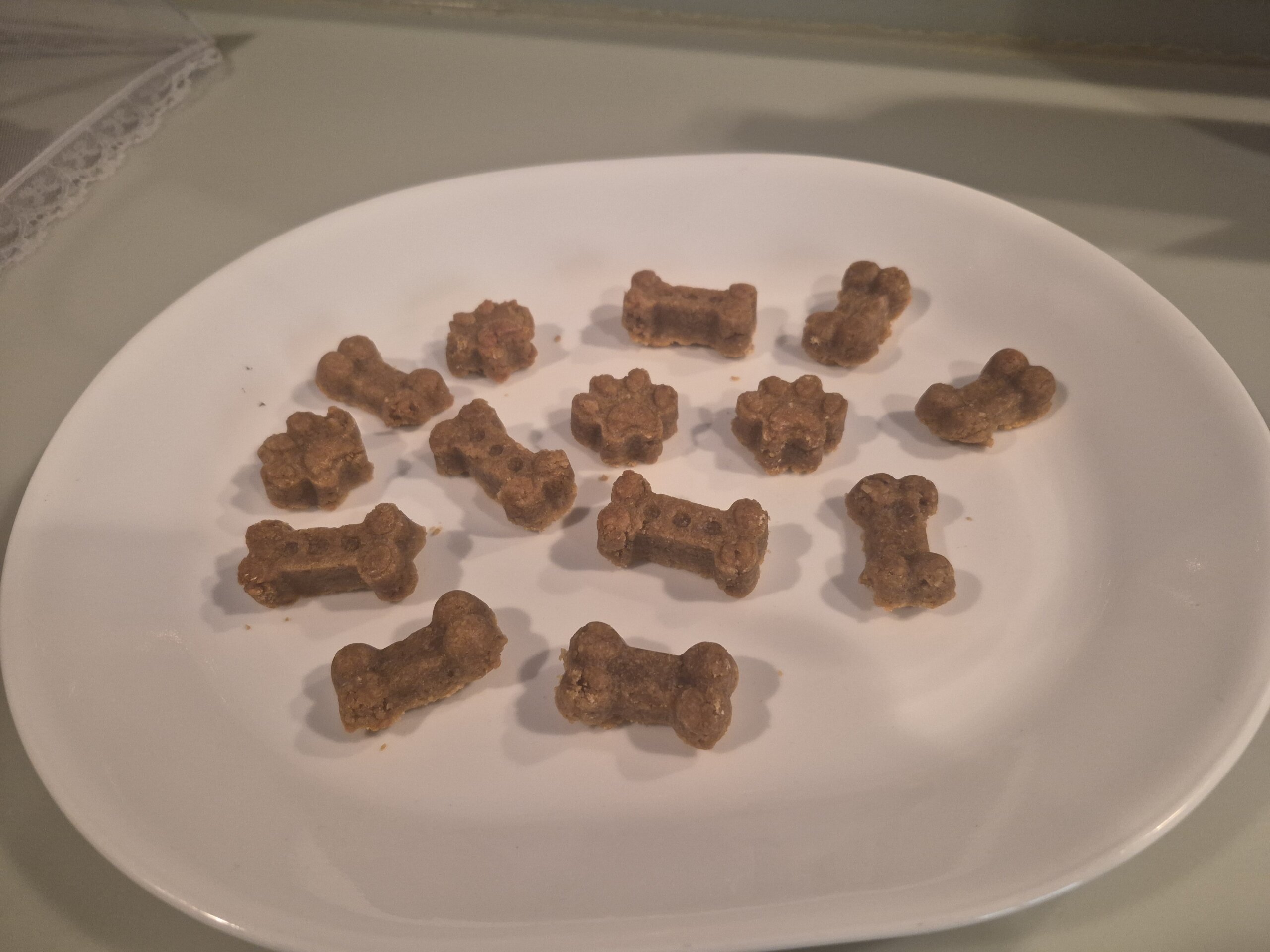 Christy Reuter Realtor Ormond Beach Fl 20260207 Dog Biscuit Pics
