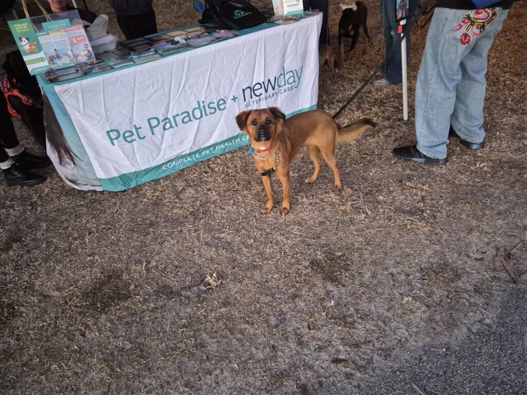 Christy Reuter Realtor Ormond Beach Fl 20260208 Rainbow Bridge Pet Paradise