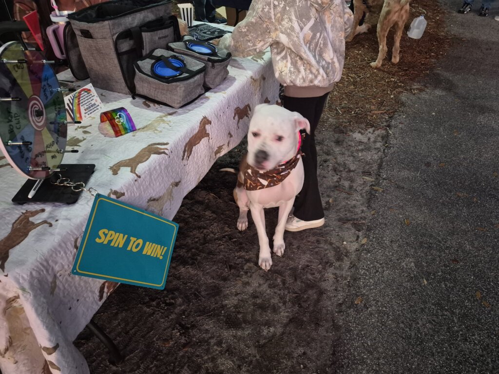 Christy Reuter Realtor Ormond Beach Fl 20260208 Rainbow Bridge Random Dog Pic 2