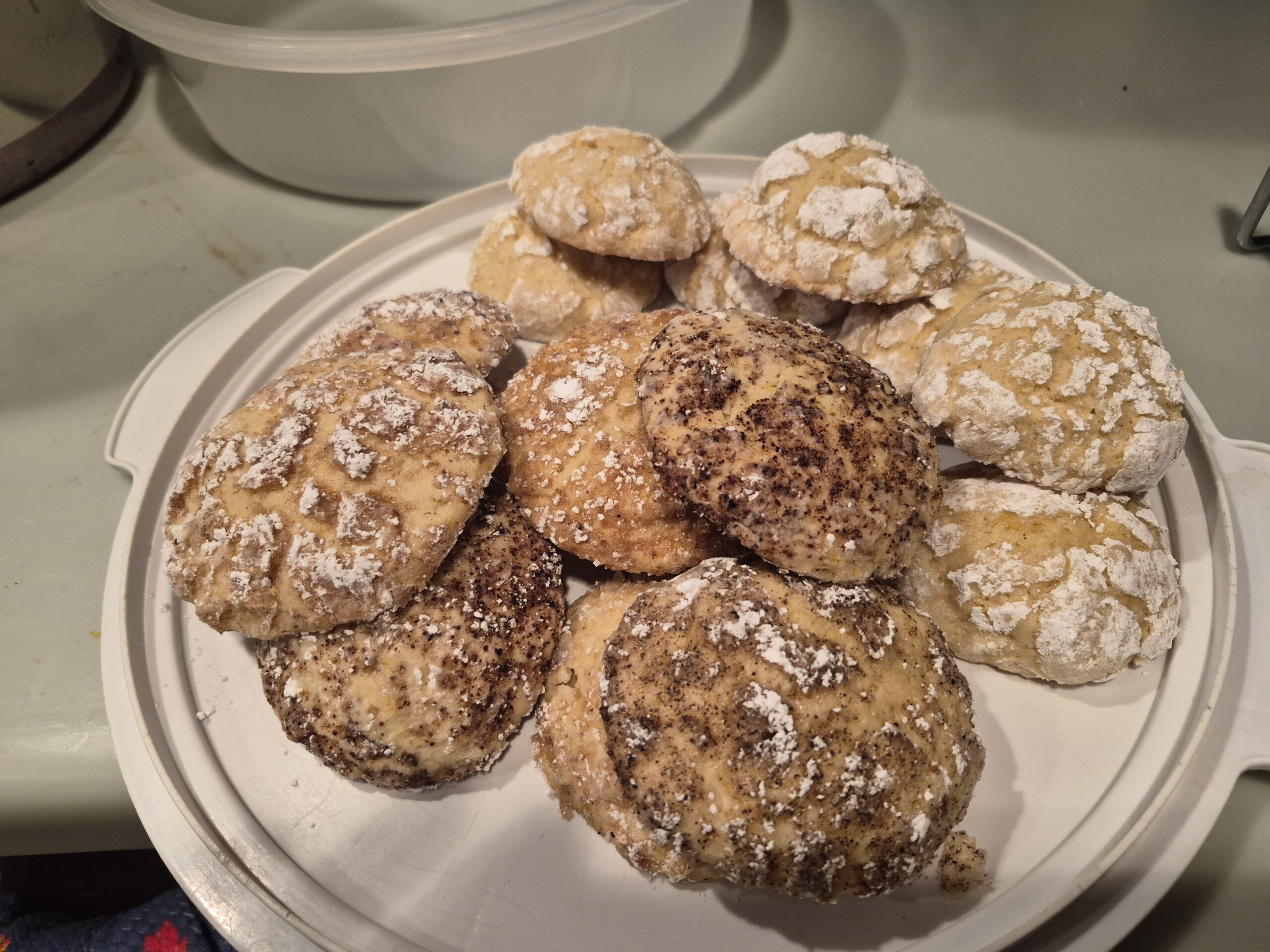 Christy Reuter Realtor Ormond Beach Fl 20260316 Lemon Cookies