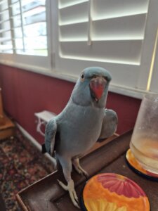 Christy Reuter Realtor Ormond Beach Fl 20260406 Happy Carol Ann