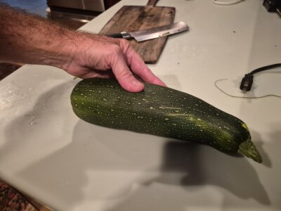 Christy Reuter Realtor Ormond Beach Fl 20260408 Zucchini From Garden
