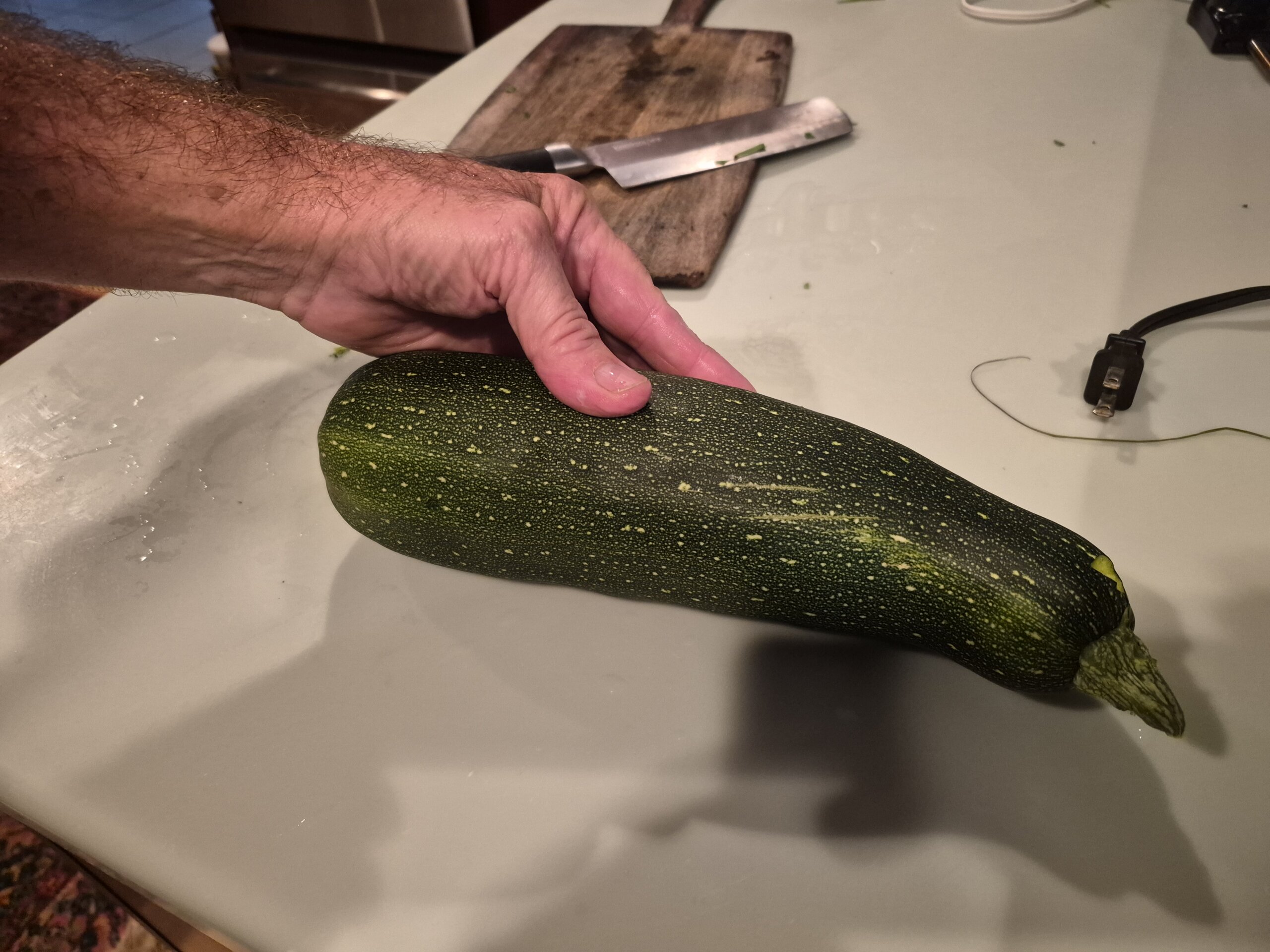 Christy Reuter Realtor Ormond Beach Fl 20260408 Zucchini From Garden