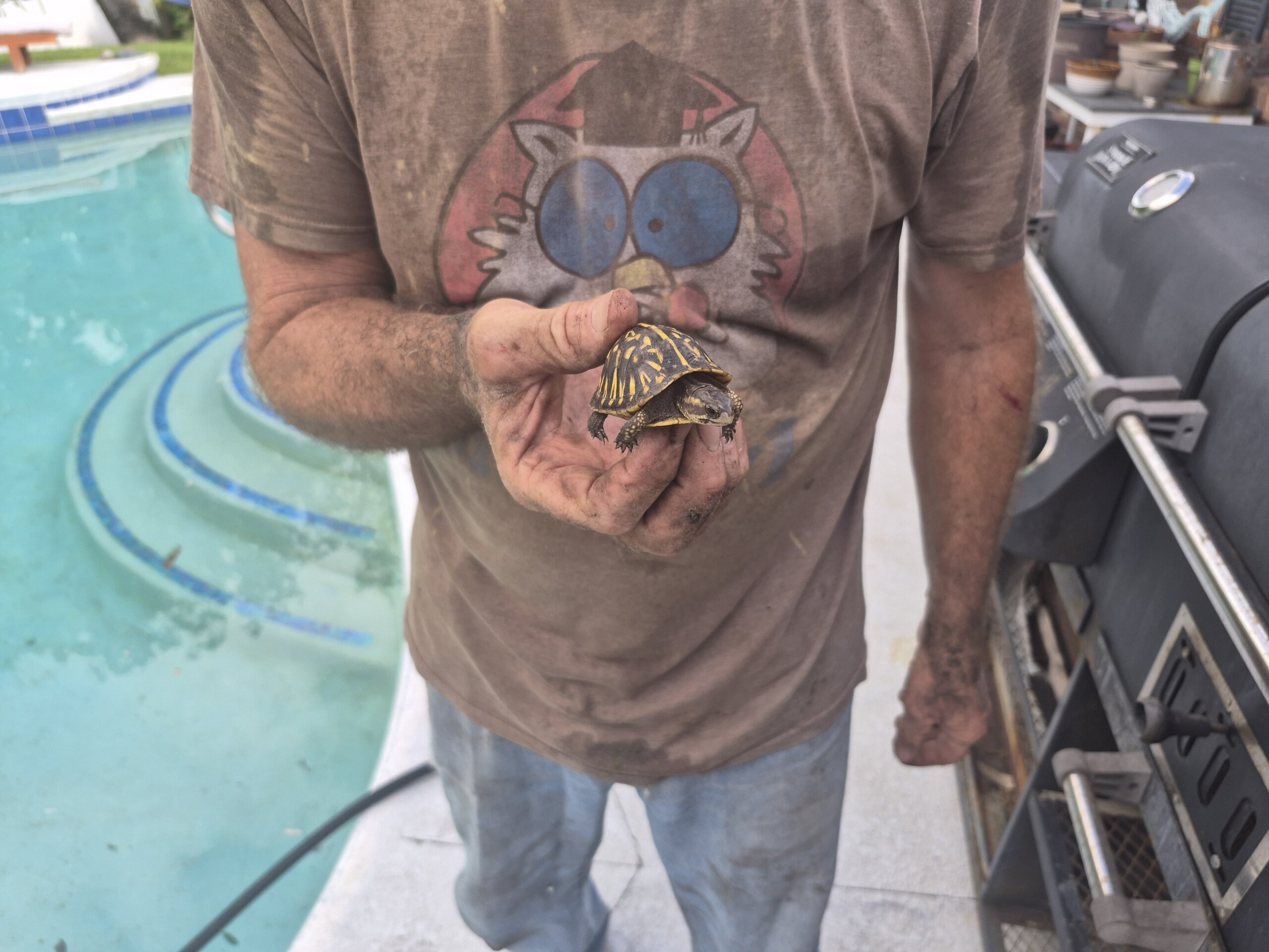 Christy Reuter Realtor Ormond Beach Fl First Baby Turtle Of The Year