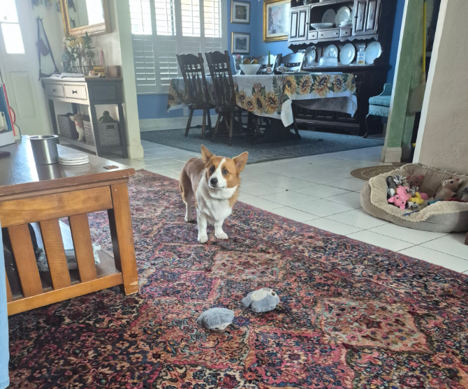 Christy Reuter Realtor Ormond Beach Fl Remington Photo