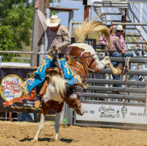 Rodeo in Buffalo. Chamber supports enduring relationships and partnerships.