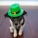 St, Patrick's